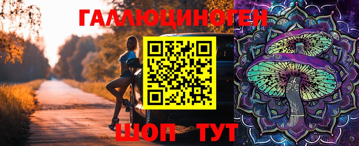 Чапаевск  Псилоцибиновые грибы прущие грибы  Псилоцибиновые грибы Psilocybe  Вход с VPN 